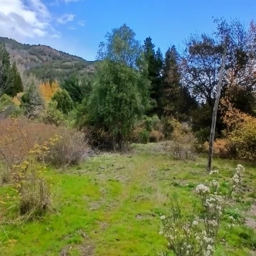 Chacra en Ruta 40 Norte