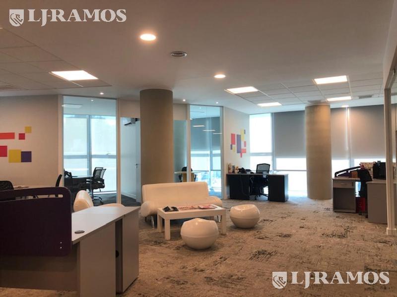 04-Planta