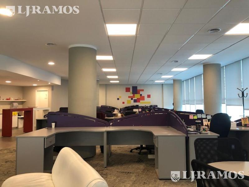 06-Planta
