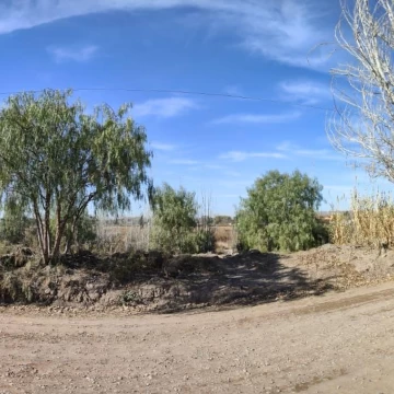 TERRENO IDEAL PARA LOTEO SOBRE CALLE TERRADA, LUJAN DE CUYO
