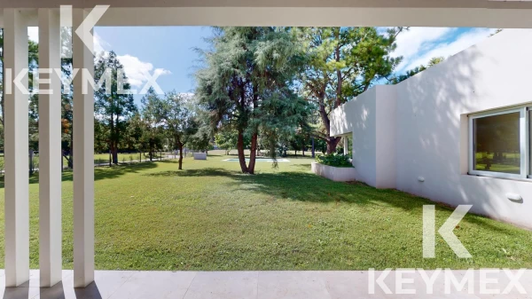 1785265942.jpg