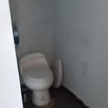 1785273454.jpg
