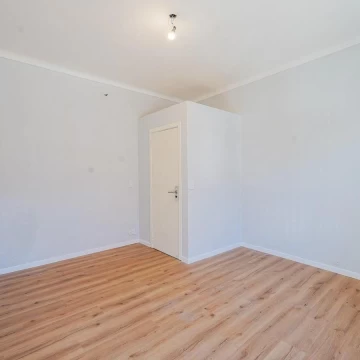 1785273794.jpg
