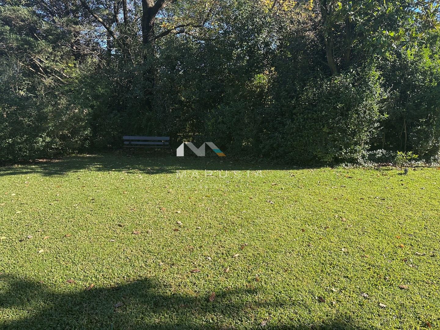 image 62