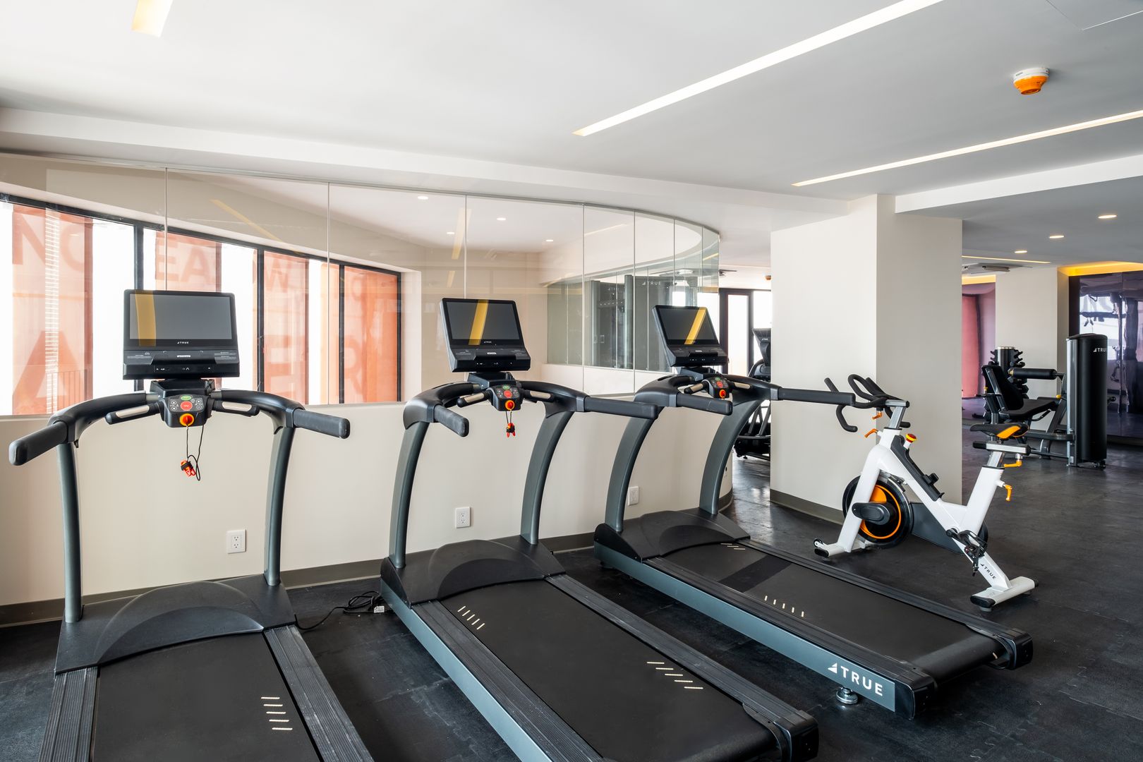 GYM 1.jpeg