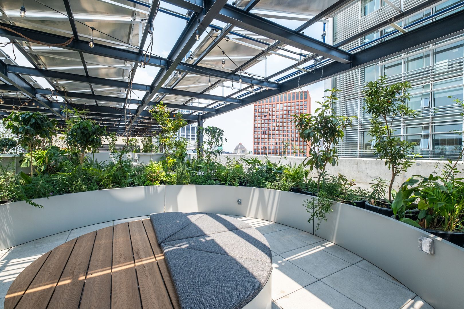 ROOF GARDEN 2.jpeg