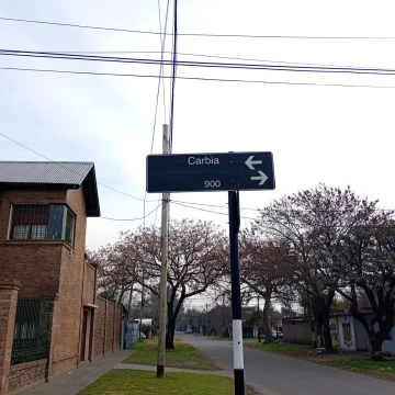 1785323594.jpg