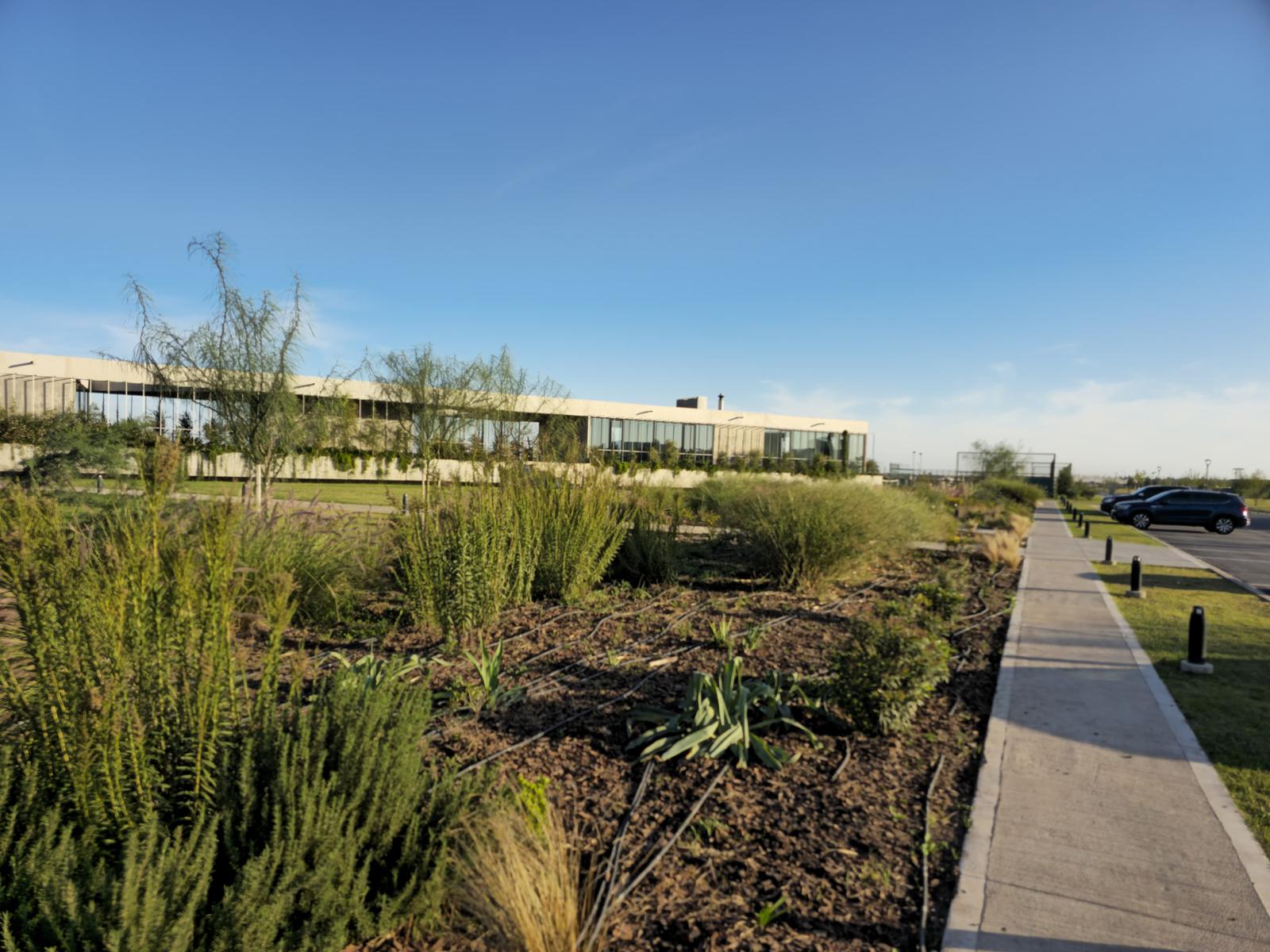 image 25
