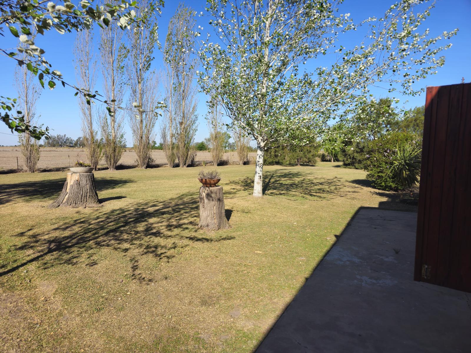 image 23