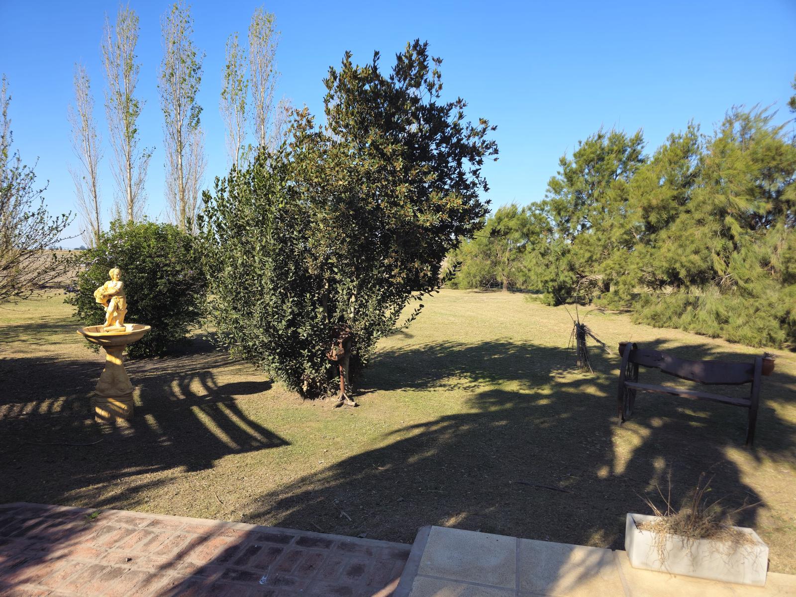 image 31