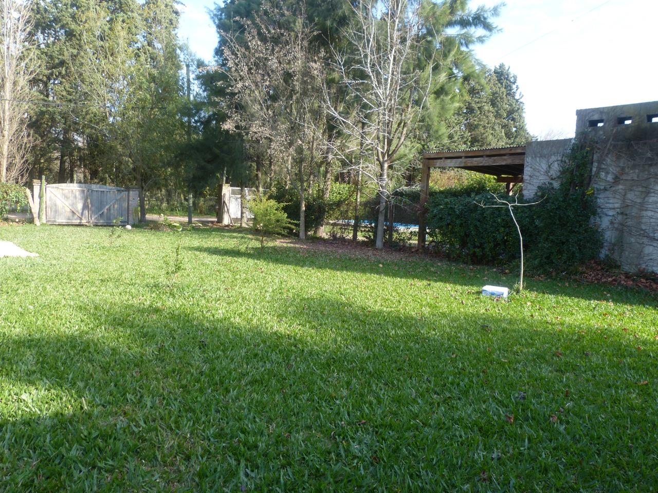 image 25