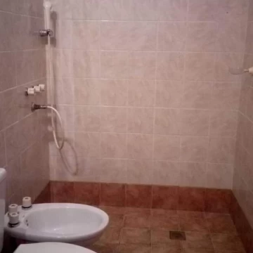 1785341557.jpg