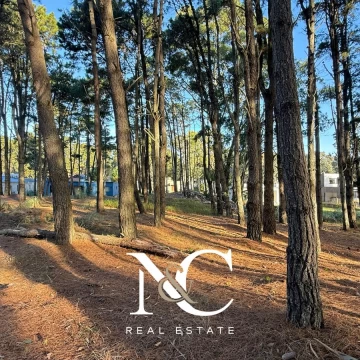 Terreno Lote Doble en Bosque – Costa Esmeralda, Gran Superficie para Proyecto