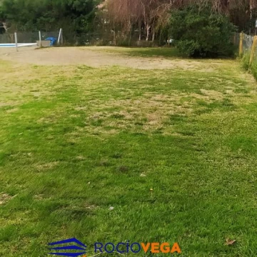 1785349466.jpg