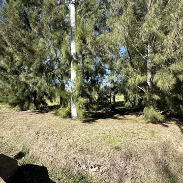 1785353047.jpg