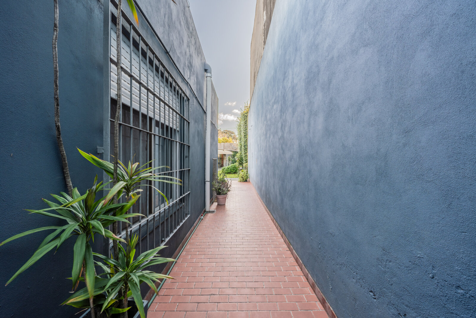 image 65