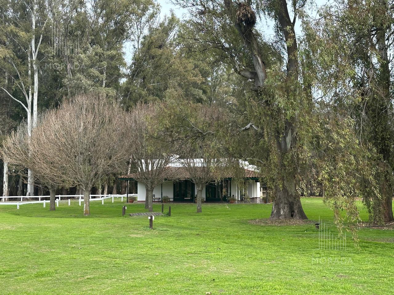 image 14