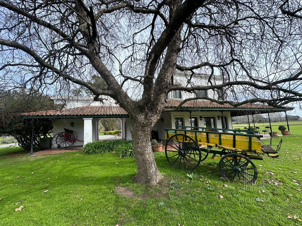 image 22