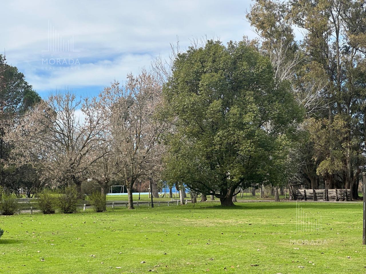 image 25