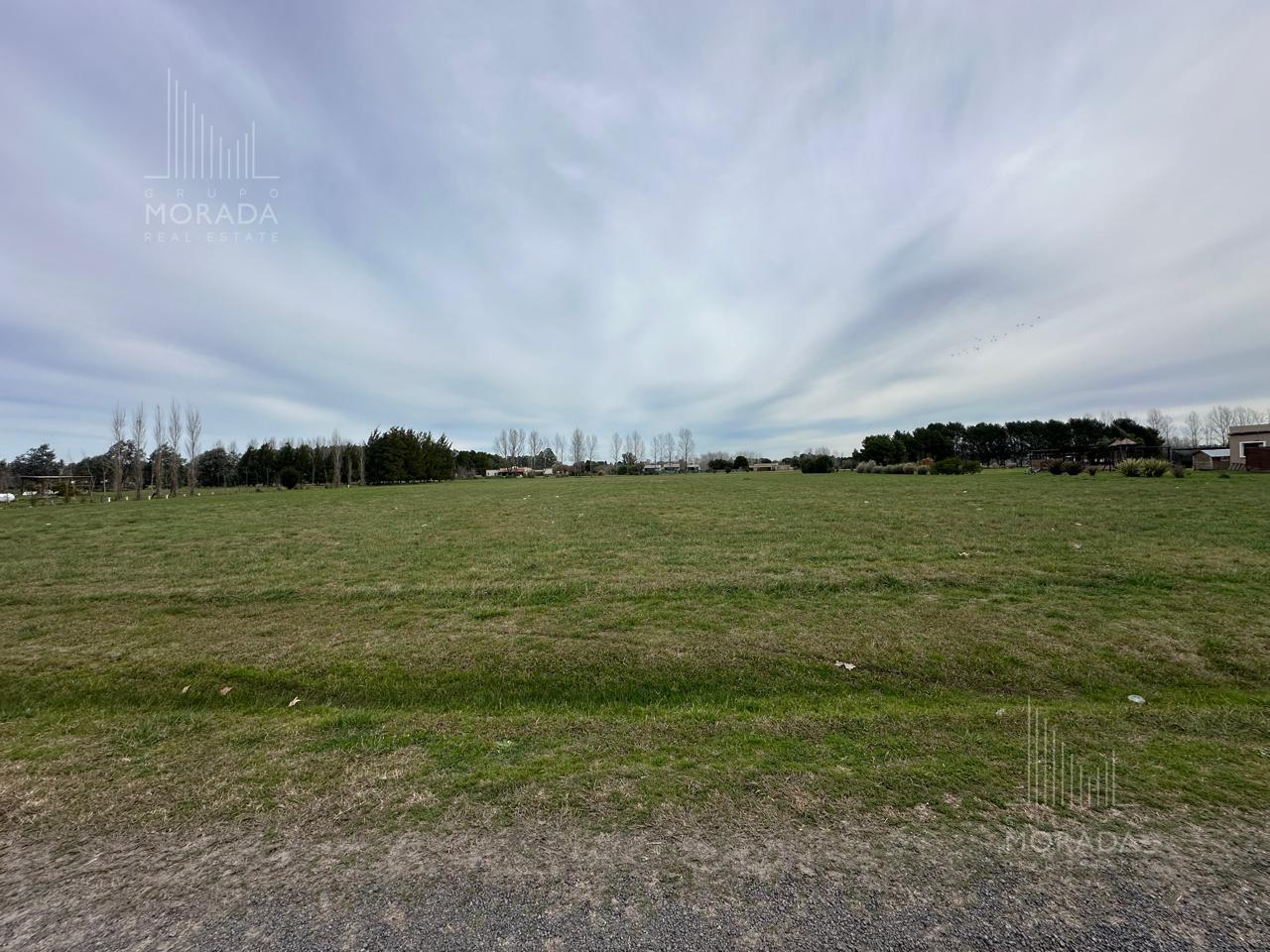 image 39