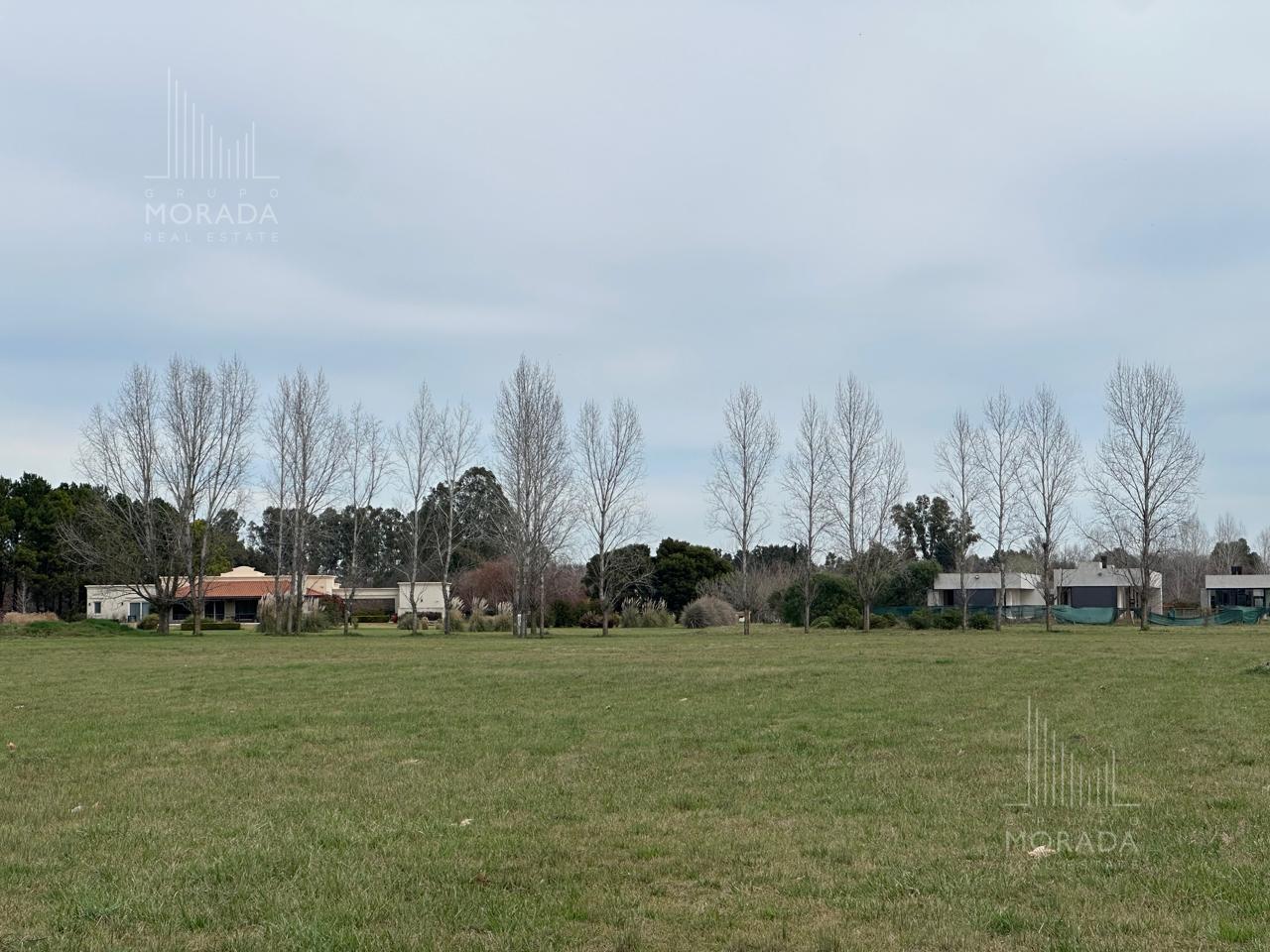 image 48