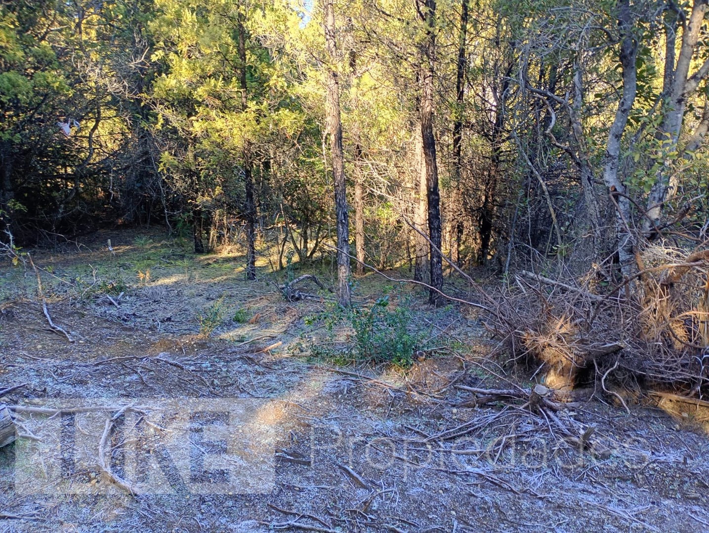 image 24