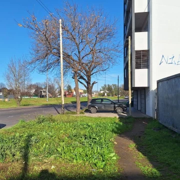 1785432247.jpg