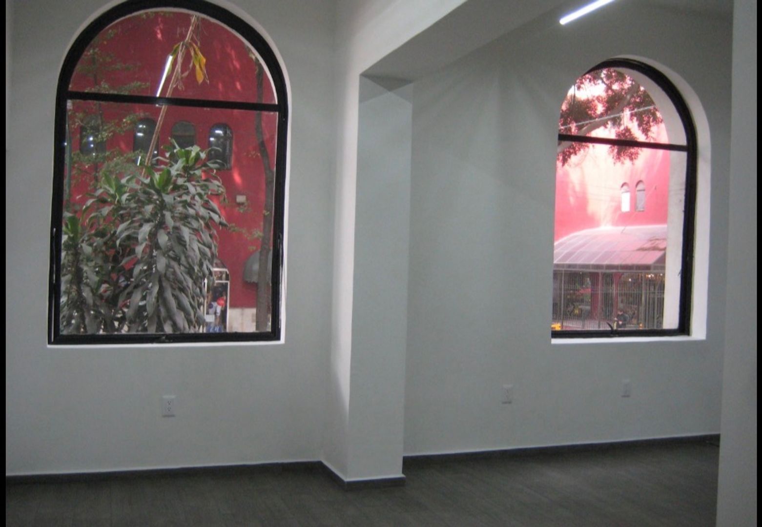 IMG_8332.jpg