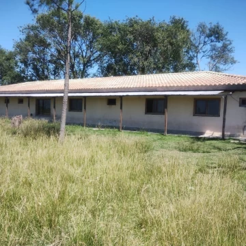 Campo en Venta - SALADILLO - 500 Ha.