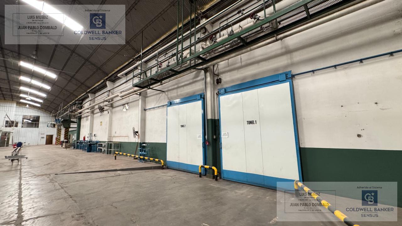 image 27