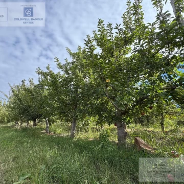 Chacra en Venta San Patricio del Chañar