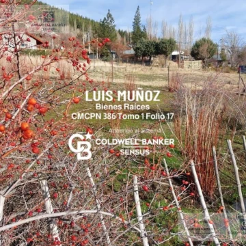 Terreno en Huinganco Prov. del Neuquén