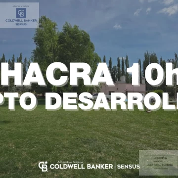 Chacra en Cipolletti