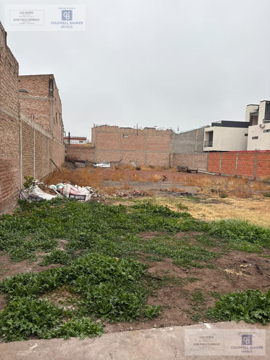 image 14