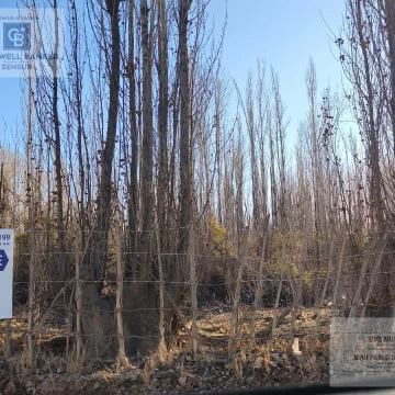 Terreno en Capital