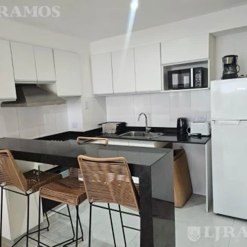 Departamento amoblado de 2 ambientes en alquiler en Brickell, Tigre
