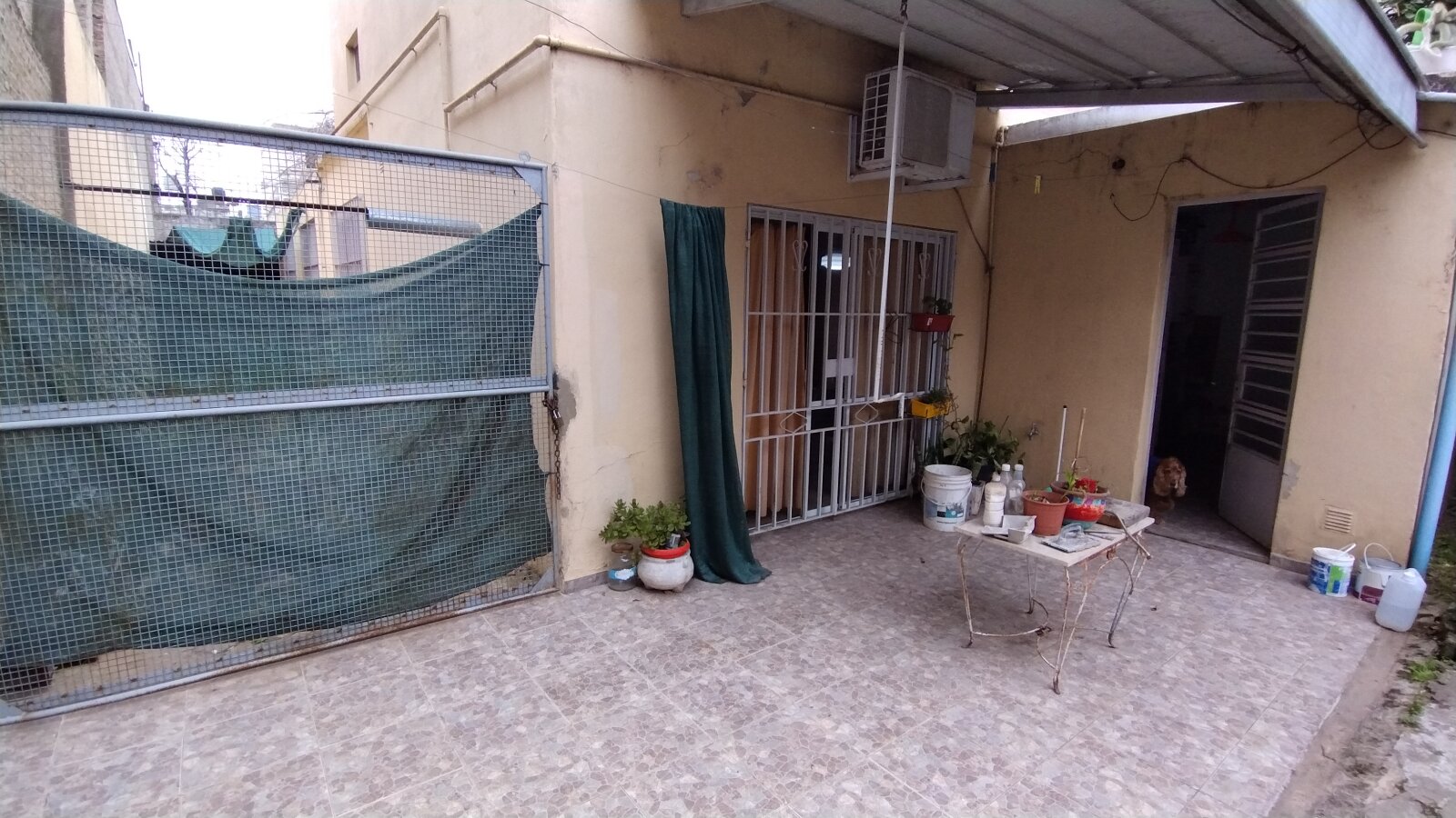 image 15