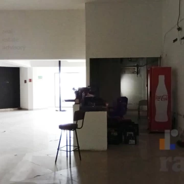 1785529048.jpg