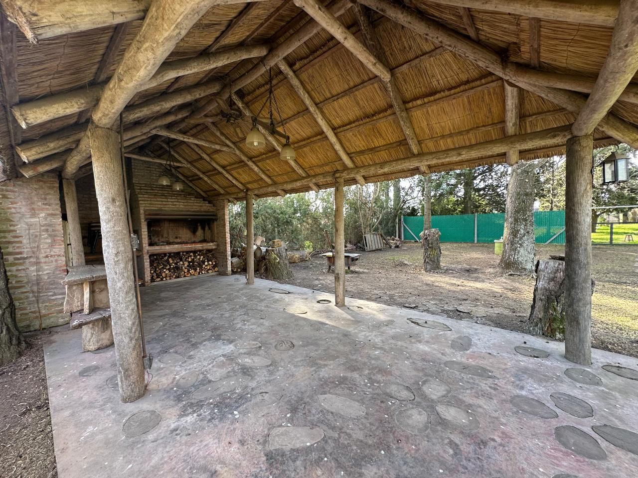 image 14