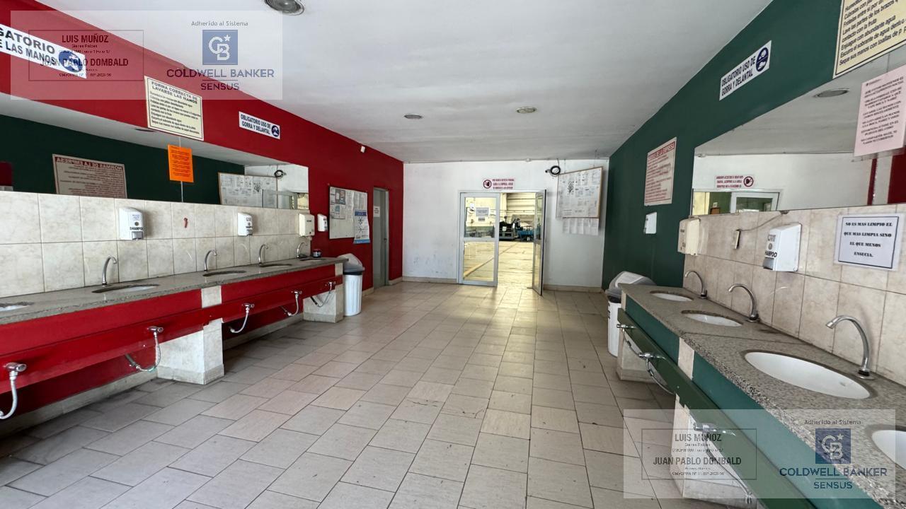 image 31