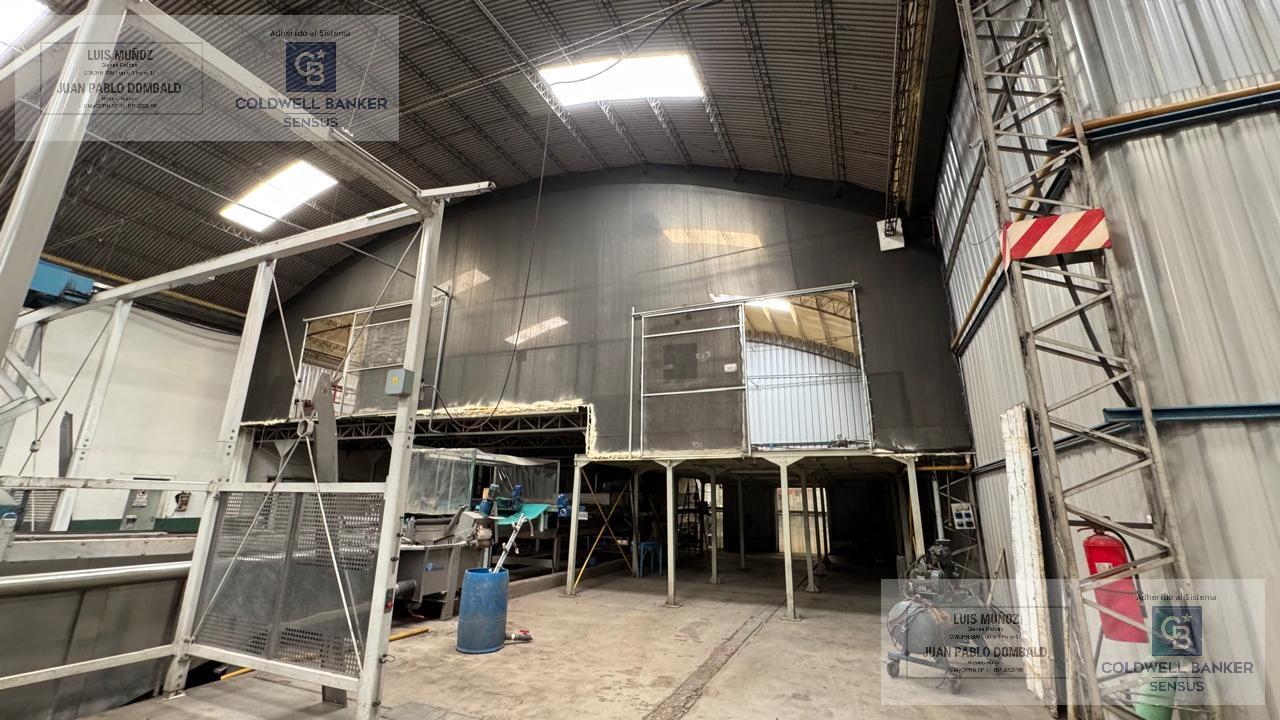 image 87