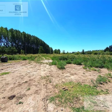 Chacra en  San Patricio del Chañar 5 Has- Añelo- Neuquen