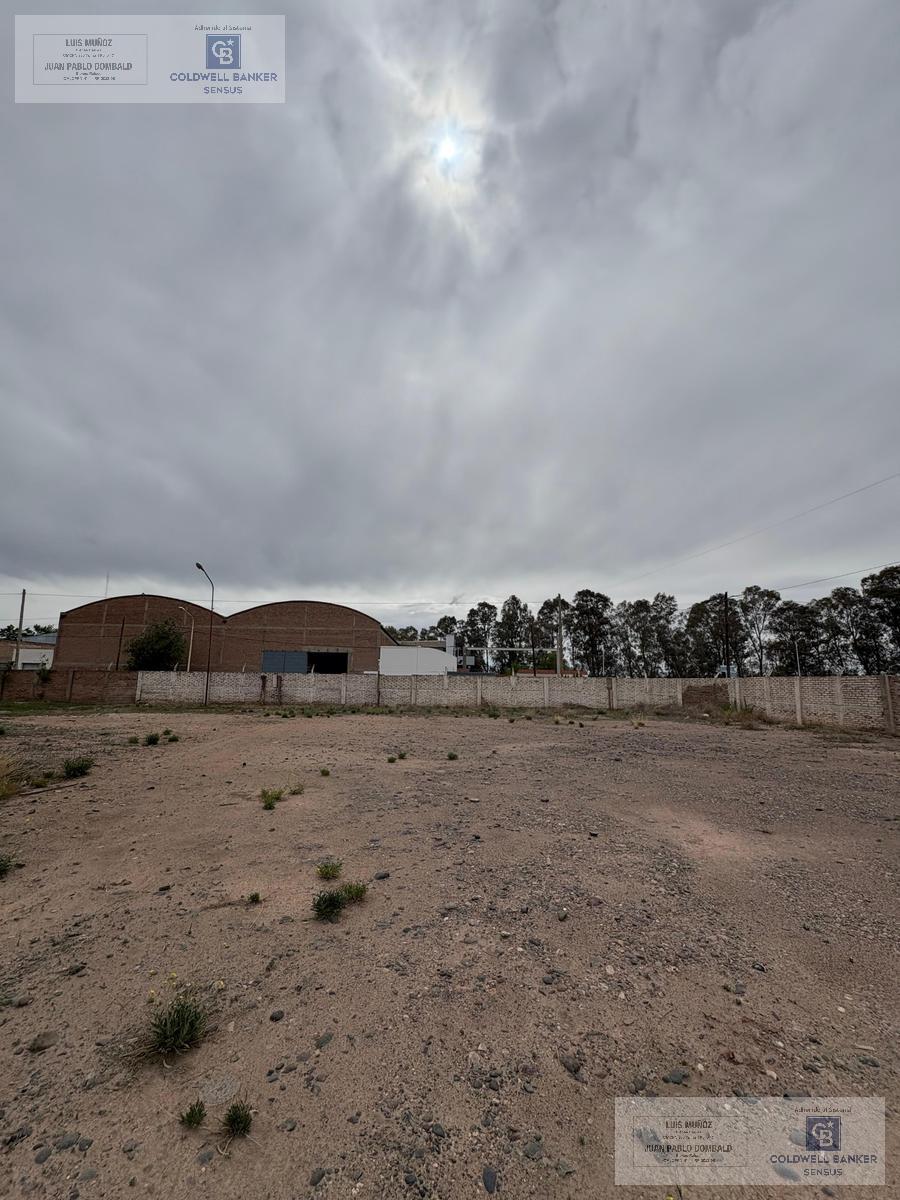 image 14
