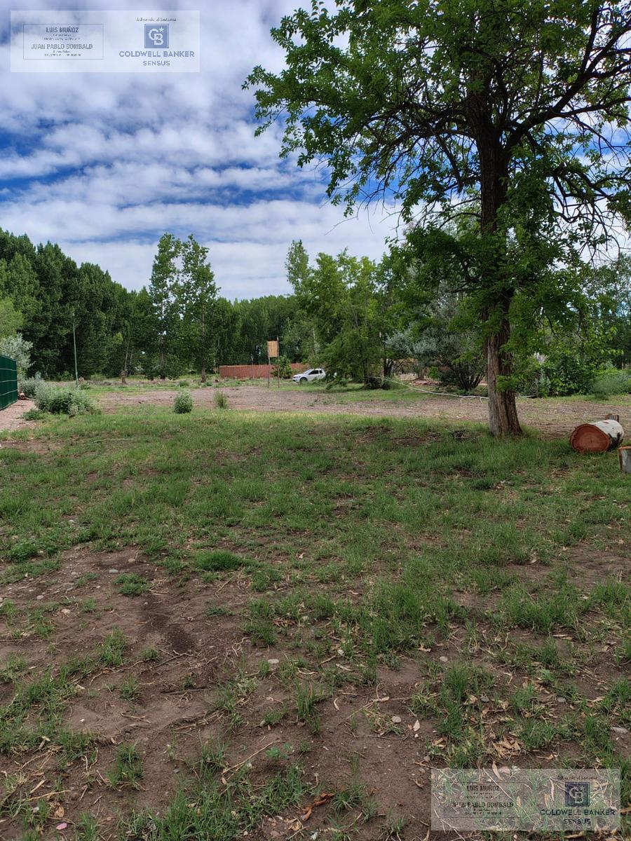 image 14