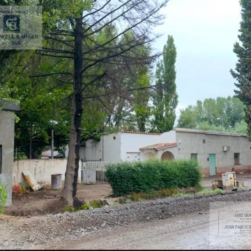 Chacra en Cipolletti