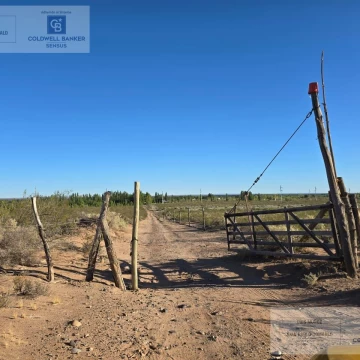 Venta 12,95 Hectáreas en Plottier.