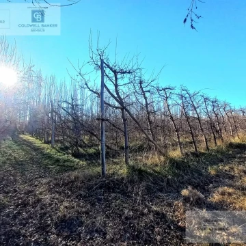 Chacra 1 Hectárea, a 1 km de ruta 7