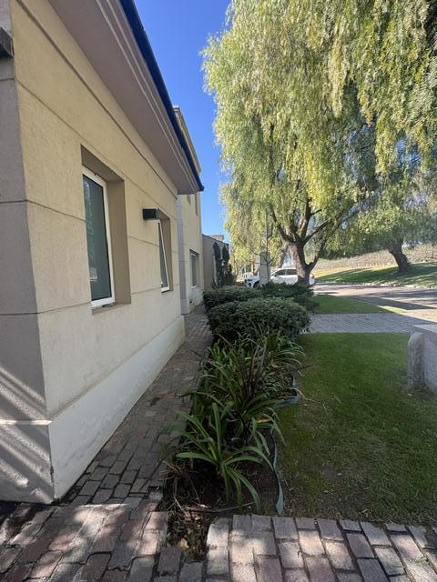 image 23