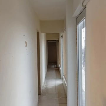 1785579494.jpg