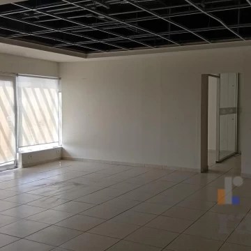 1785579496.jpg